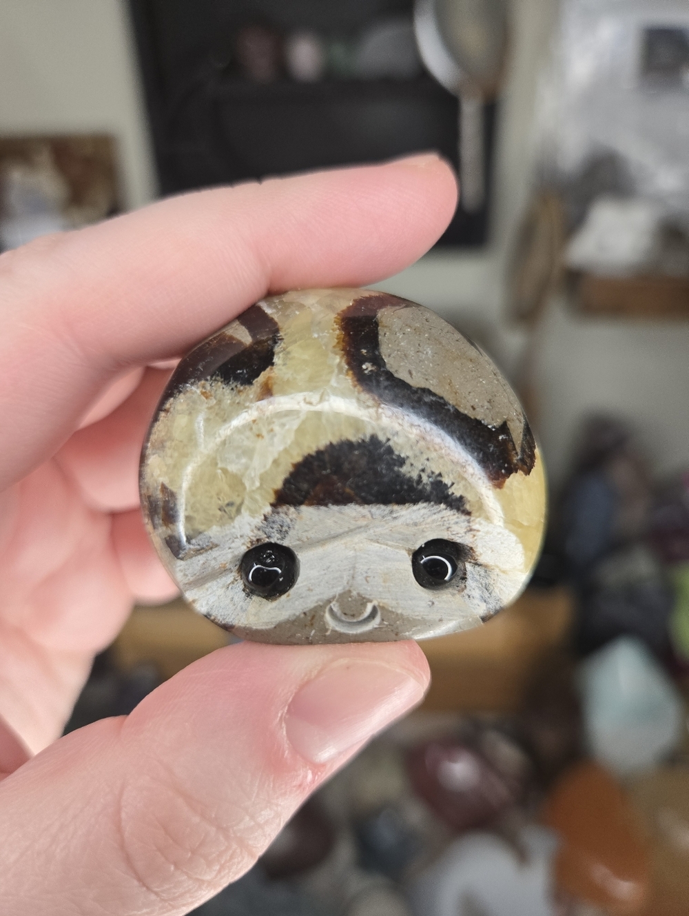 UV Reactive Septarian Crystal Buddy